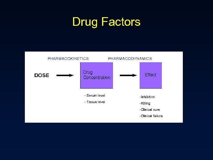 Drug Factors 