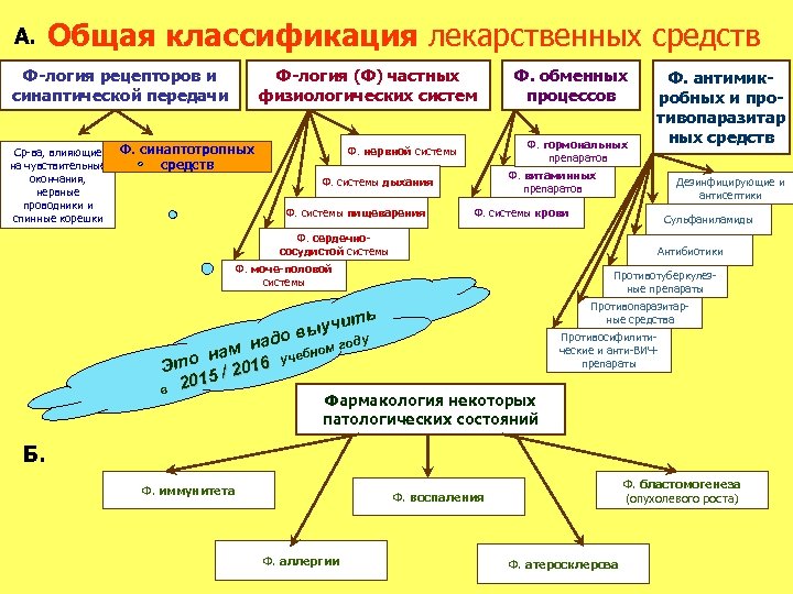 Пути изыскания новых лекарственных средств схема