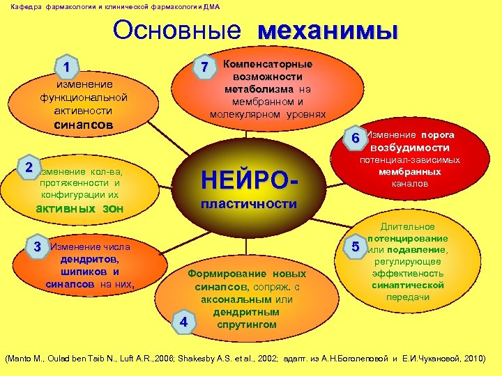 Кафедра фармакологии и клинической фармакологии ДМА Основные механимы 1 изменение функциональной активности синапсов 2