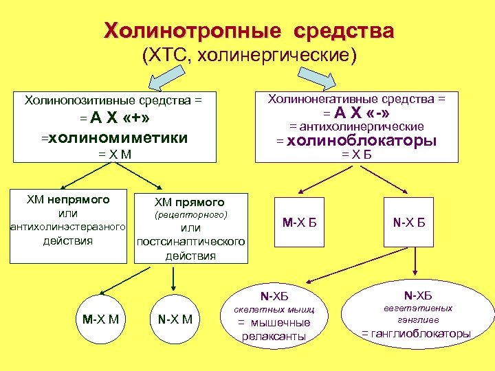 Холинотропные средства (ХТС, холинергические) Холинонегативные средства = = А Х «-» = антихолинергические =