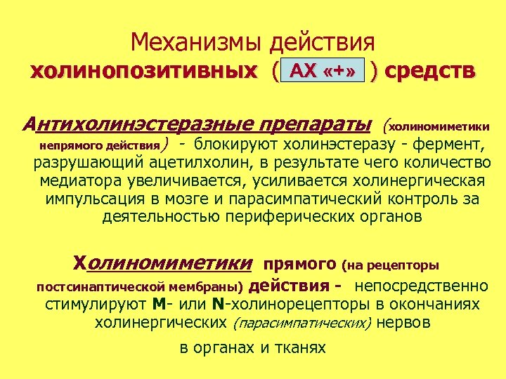 Механизмы действия АХ «+» холинопозитивных ( АХ «+» ) средств Антихолинэстеразные препараты (холиномиметики непрямого