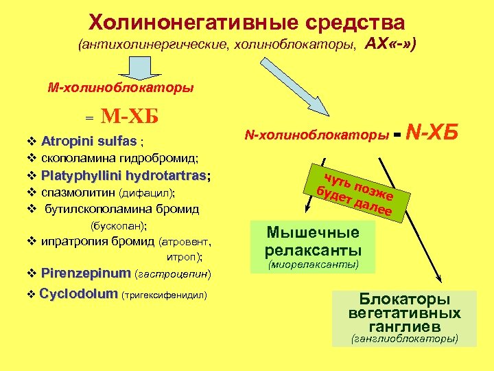 Холинонегативные средства (антихолинергические, холиноблокаторы, АХ «-» ) М-холиноблокаторы = М-ХБ v Atropini sulfas ;