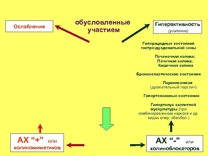 Ослабление обусловленные участием Гиперактивность (усиление) Гиперацидные состояния гастро-дуоденальной зоны Печеночная колика; Почечная колика; Кишечная