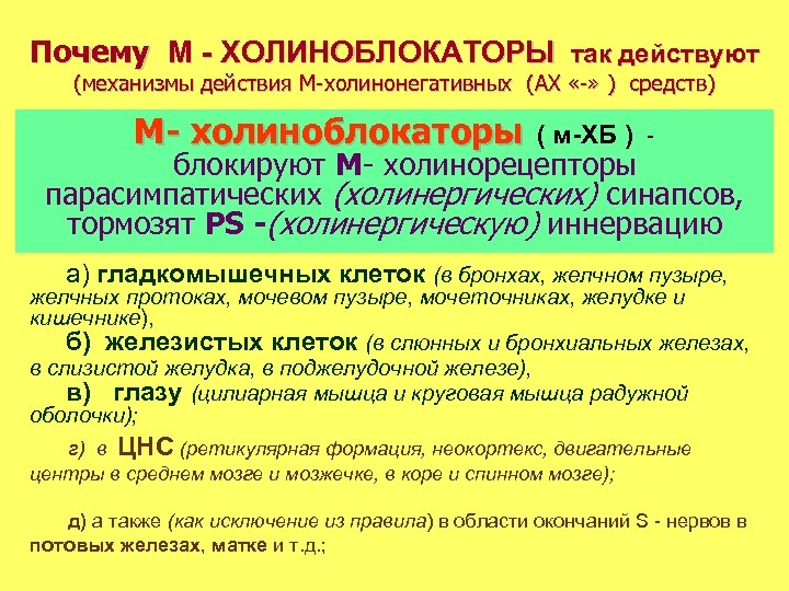 Действия на н. Мускариновые холиноблокаторы. М-холиноблокаторы механизм действия. Механизм действия м холиноблокаторов. М-холиноблокаторы механизм действия препараты.