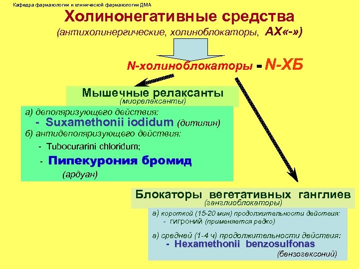 Кафедра фармакологии и клинической фармакологии ДМА Холинонегативные средства (антихолинергические, холиноблокаторы, АХ «-» ) N-холиноблокаторы