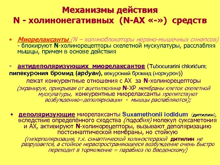 Механизмы действия N - холинонегативных (N-АХ «-» ) средств • Миорелаксанты (N – холиноблокаторы