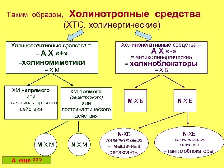 Таким образом, Холинотропные средства (ХТС, холинергические) Холинонегативные средства = = А Х «-» =