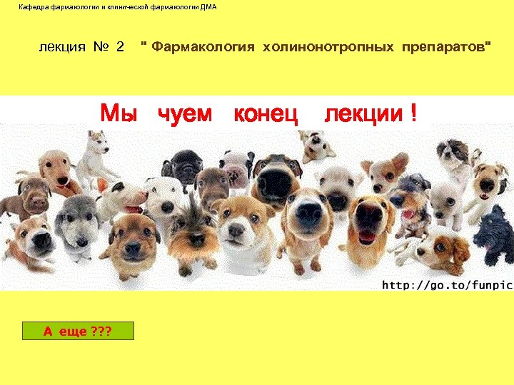 Кафедра фармакологии и клинической фармакологии ДМА лекция № 2 " Фармакология холинонотропных препаратов" Мы