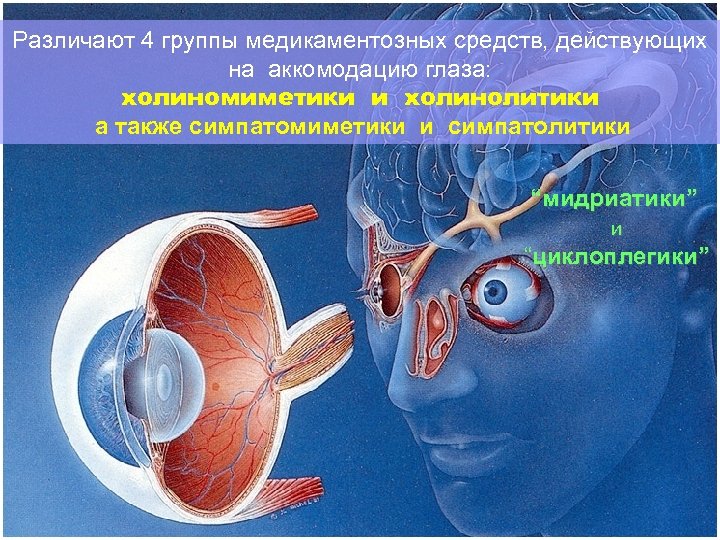 Различают 4 группы медикаментозных средств, действующих на аккомодацию глаза: холиномиметики и холинолитики а также