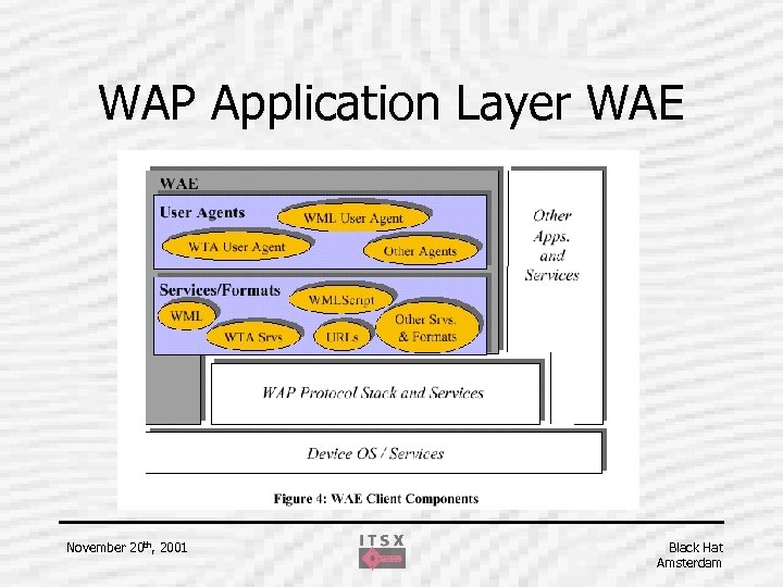 WAP Application Layer WAE November 20 th, 2001 Black Hat Amsterdam 