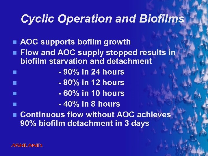 Cyclic Operation and Biofilms n n n n AOC supports bofilm growth Flow and