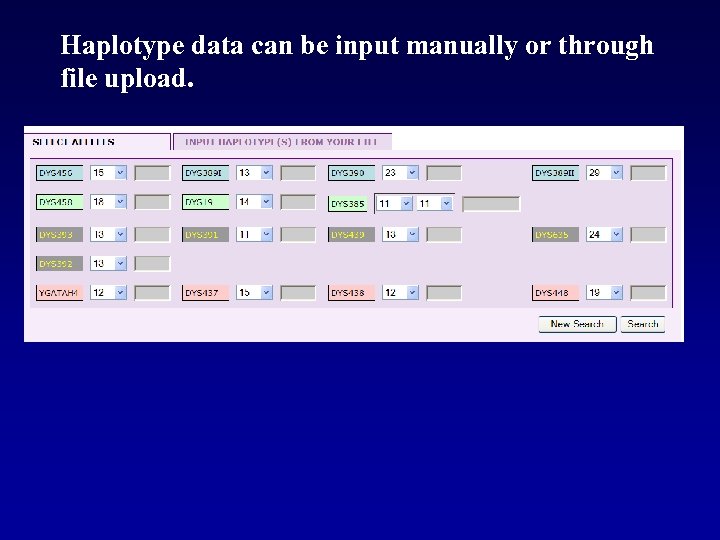 Haplotype data can be input manually or through file upload. 