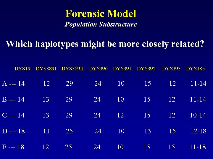 Forensic Model Population Substructure Which haplotypes might be more closely related? DYS 19 DYS