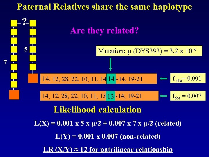 Paternal Relatives share the same haplotype ? 5 Are they related? Mutation: µ (DYS