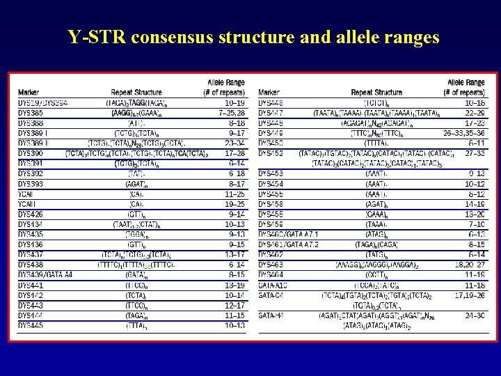 Y-STR consensus structure and allele ranges 