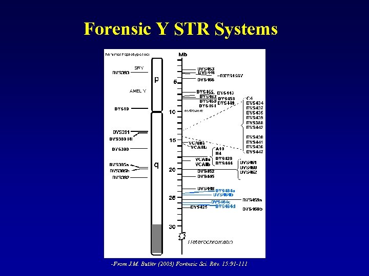 Forensic Y STR Systems -From J. M. Butler (2003) Forensic Sci. Rev. 15: 91