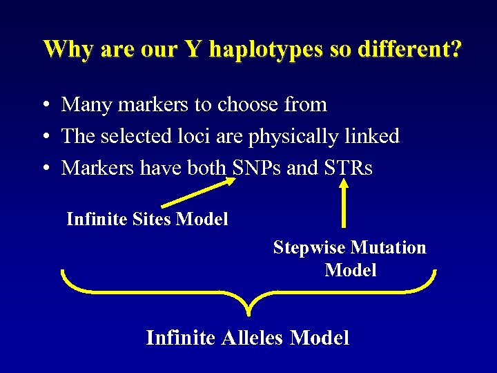 Why are our Y haplotypes so different? • Many markers to choose from •