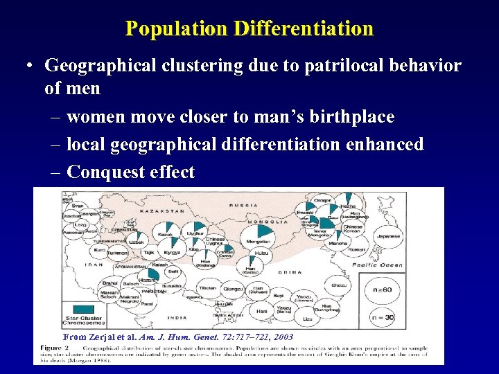 Population Differentiation • Geographical clustering due to patrilocal behavior of men – women move