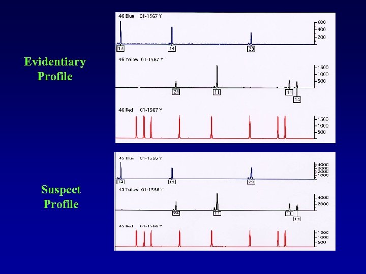 Evidentiary Profile Suspect Profile 