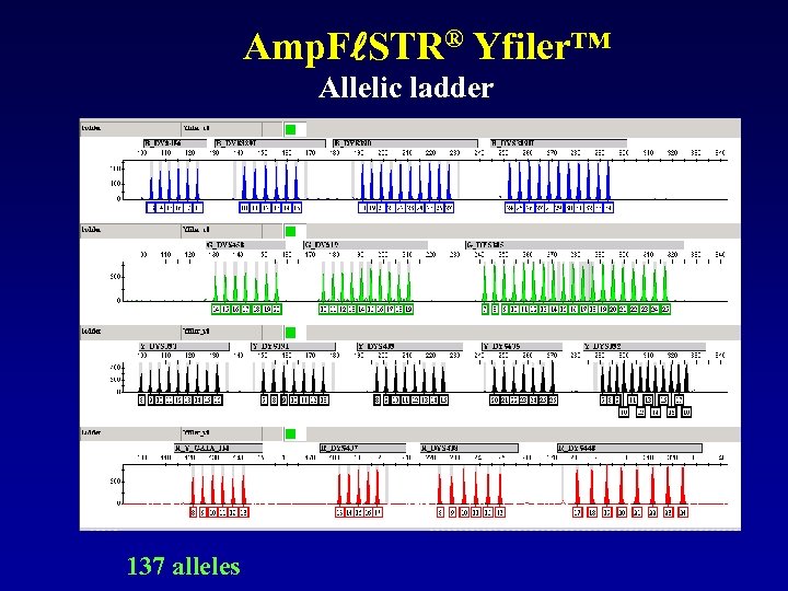 Amp. F STR® Yfiler™ Allelic ladder 137 alleles 