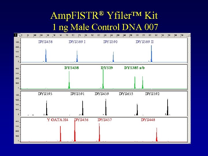 Amp. Fl. STR® Yfiler™ Kit 1 ng Male Control DNA 007 DYS 458 DYS