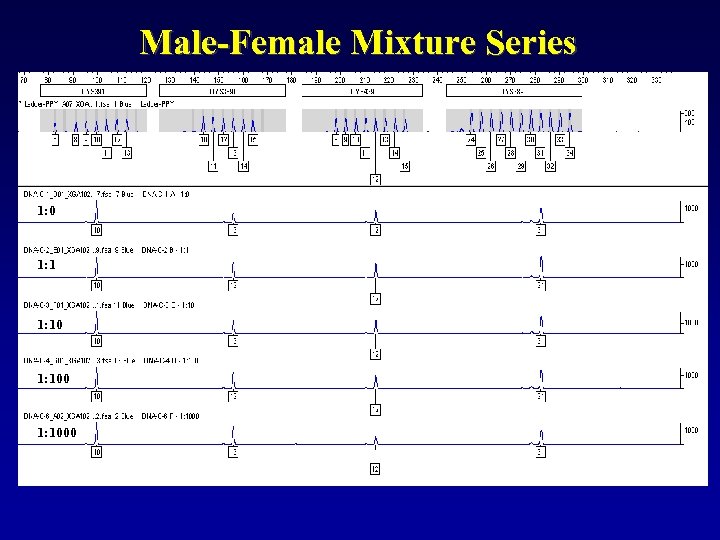 Male-Female Mixture Series 1: 0 1: 1000 
