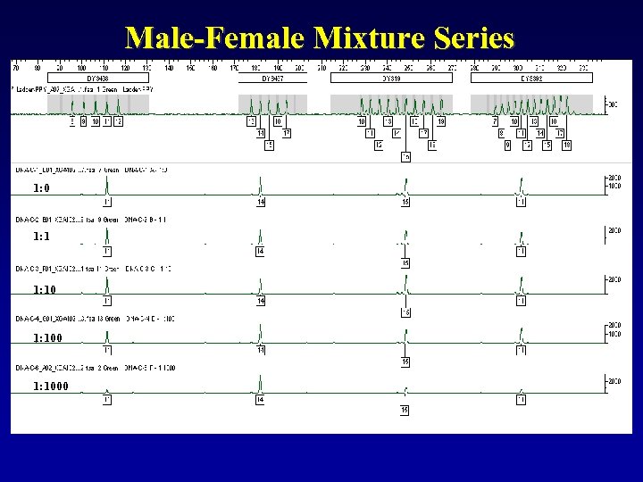 Male-Female Mixture Series 1: 0 1: 1000 