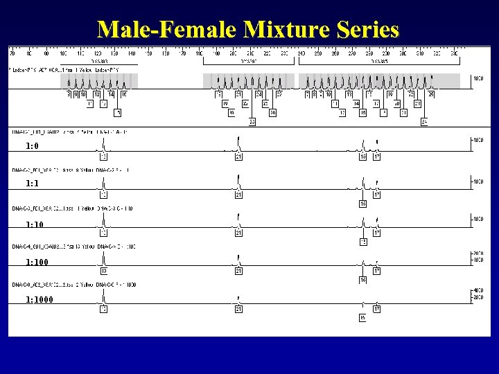 Male-Female Mixture Series 1: 0 1: 1000 