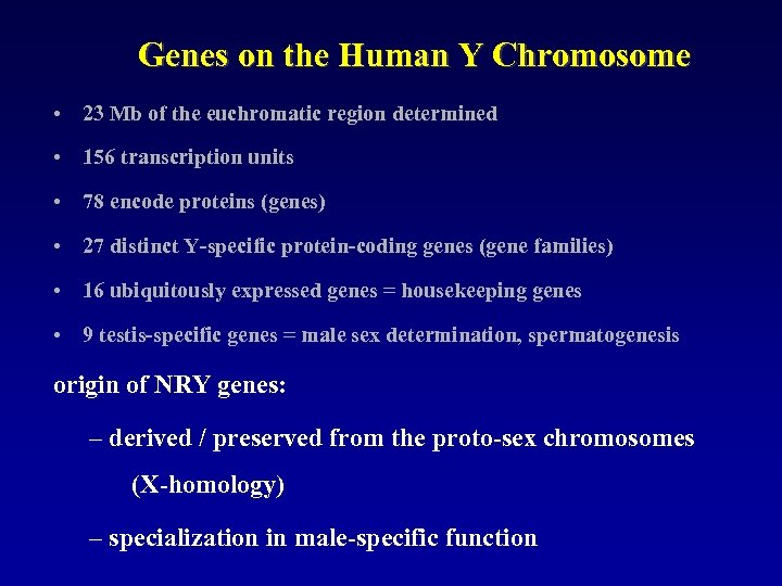 Genes on the Human Y Chromosome • 23 Mb of the euchromatic region determined