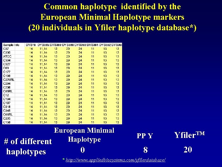 Common haplotype identified by the European Minimal Haplotype markers (20 individuals in Yfiler haplotype