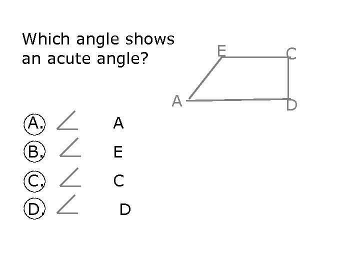 Which angle shows an acute angle? A A. A B. E C. C D.