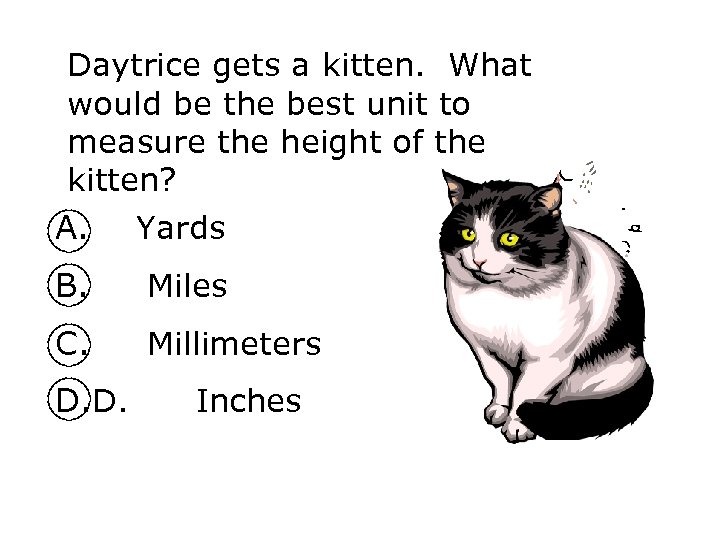 Daytrice gets a kitten. What would be the best unit to measure the height