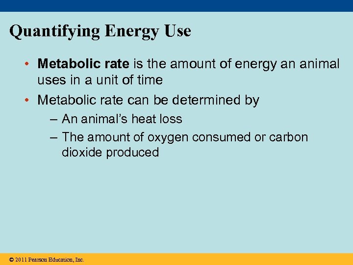 Quantifying Energy Use • Metabolic rate is the amount of energy an animal uses