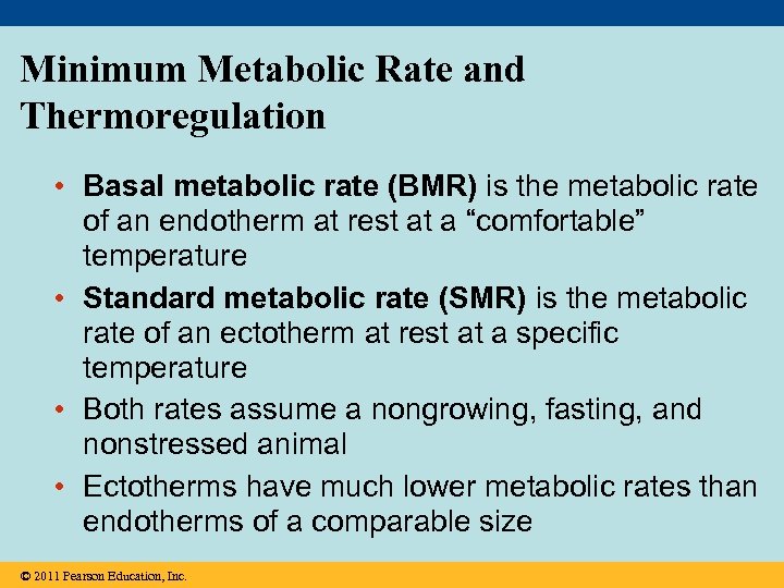 Minimum Metabolic Rate and Thermoregulation • Basal metabolic rate (BMR) is the metabolic rate