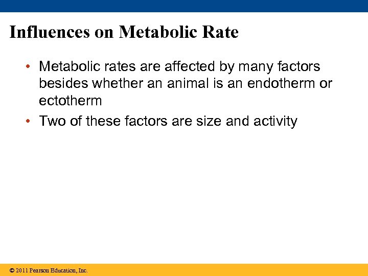 Influences on Metabolic Rate • Metabolic rates are affected by many factors besides whether