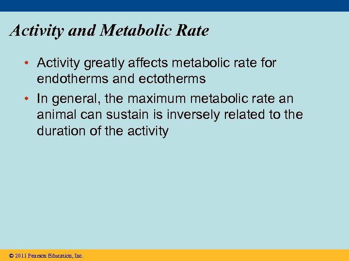 Activity and Metabolic Rate • Activity greatly affects metabolic rate for endotherms and ectotherms