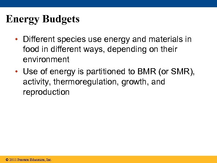 Energy Budgets • Different species use energy and materials in food in different ways,