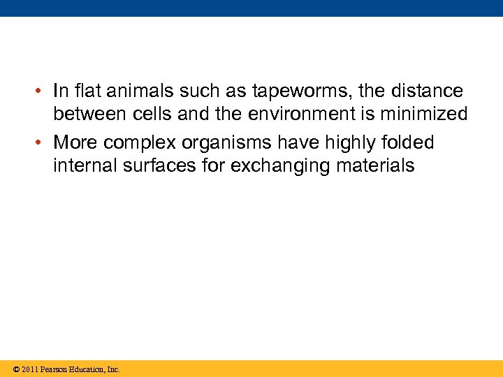  • In flat animals such as tapeworms, the distance between cells and the