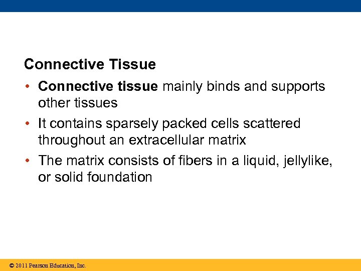 Connective Tissue • Connective tissue mainly binds and supports other tissues • It contains
