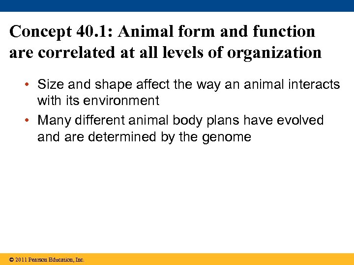 Concept 40. 1: Animal form and function are correlated at all levels of organization