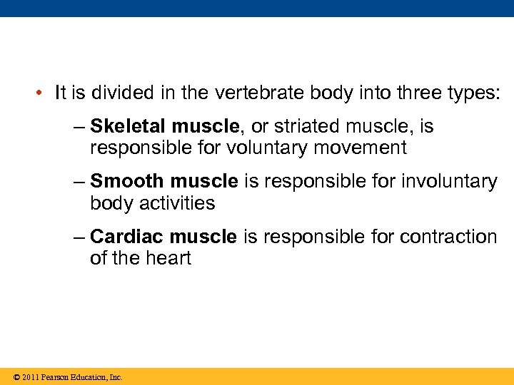  • It is divided in the vertebrate body into three types: – Skeletal
