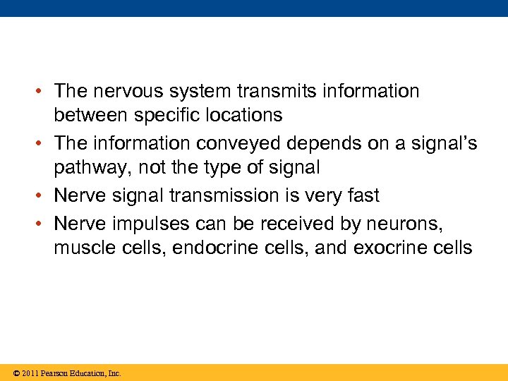  • The nervous system transmits information between specific locations • The information conveyed