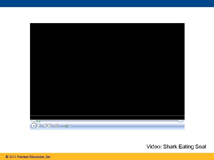 Video: Shark Eating Seal © 2011 Pearson Education, Inc. 