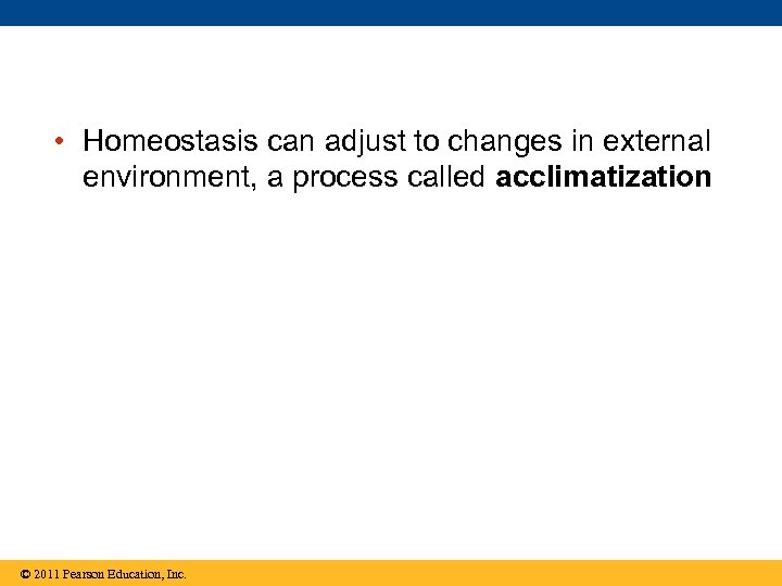  • Homeostasis can adjust to changes in external environment, a process called acclimatization