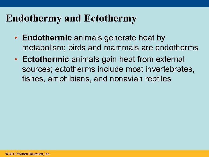 Endothermy and Ectothermy • Endothermic animals generate heat by metabolism; birds and mammals are