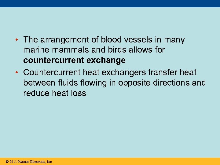  • The arrangement of blood vessels in many marine mammals and birds allows