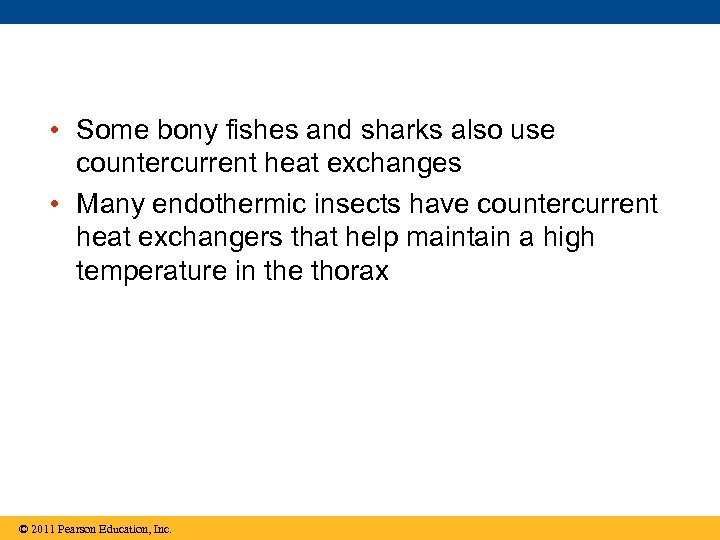  • Some bony fishes and sharks also use countercurrent heat exchanges • Many