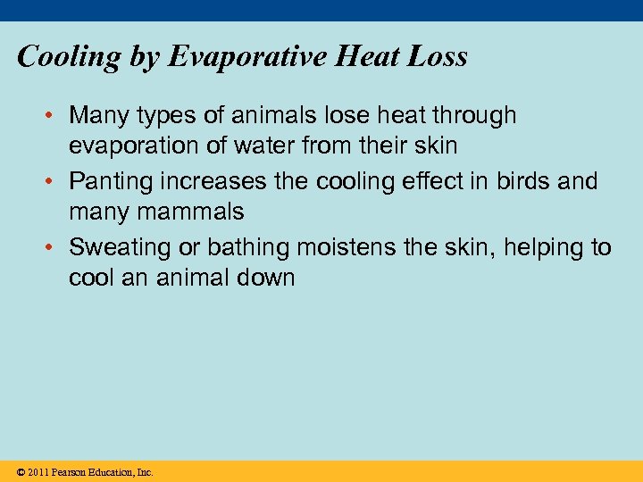 Cooling by Evaporative Heat Loss • Many types of animals lose heat through evaporation