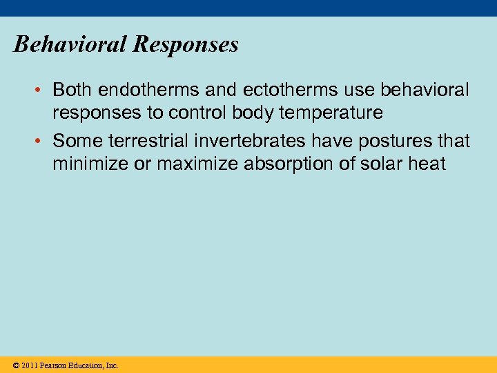Behavioral Responses • Both endotherms and ectotherms use behavioral responses to control body temperature