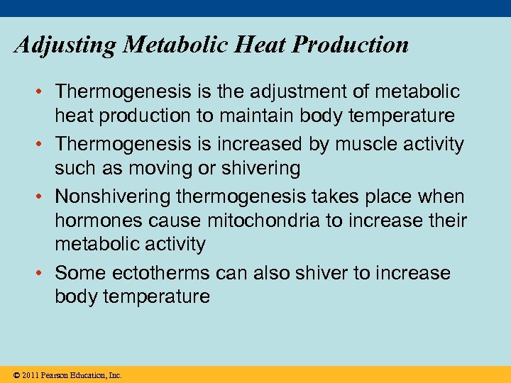 Adjusting Metabolic Heat Production • Thermogenesis is the adjustment of metabolic heat production to